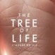 Kari Matchett / Tree of Life