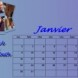 Calendrier Janvier 2012