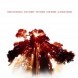 The Lost Tree