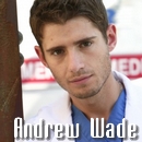 Andrew Wade Urgences ER