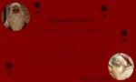 2011-12-01 18-46-00