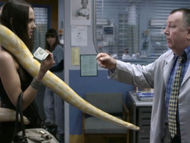 Frank avec une patiente ayant un serpent.